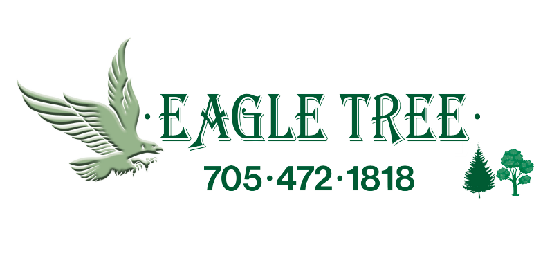 Eagle_Tree.png